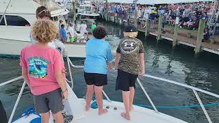 white marlin open 2023 day 2 scales on Lily Rose