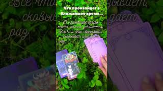 Для обмена ♥️и подпишись. За раскладом пиши #таро #таролог #tarot #тароконсультация #гадание #magic