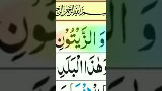 Surah Teen