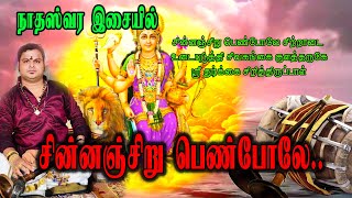 சின்னஞ்சிறு பெண்போலே நாதஸ்வரம்  | Chinnanchiru Pen Pole | K.P.KUMARAN | Gowri Amman | Hindu Temples