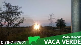 Trem de celulose "vaca verde" carregado passando por Avaí(JAI)-SP.