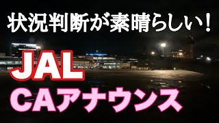 JALのCAさんの夜間フライトアナウンスの落ち着きがハンパない！ 函館空港から羽田空港への夜間フライト【IBA-Air】