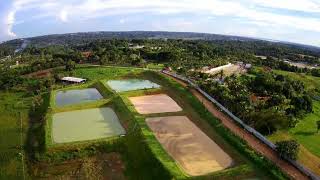 Piscicultura no Amazonas