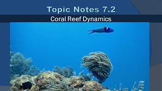 Topic Notes 7.2: Coral Reef Dynamics