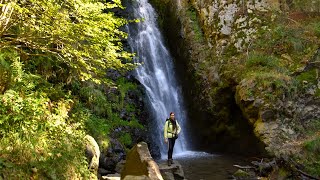 beeindruckender Wasserfall im Schwarzwald - der Todtnauer Wasserfall und der Wasserfallsteig