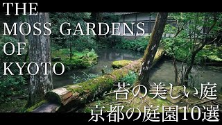 苔の美しい京都の庭園10選｜THE MOSS GARDENS OF KYOTO 10 SELECTIONS