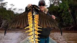 10 Most Bizarre Creatures Ever Caught