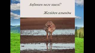 АҚБӨКЕН НЕГЕ КИЕЛІ? АҢЫЗ ӘҢГІМЕ.ТІРКЕЛІП ЛАЙК БАСУДЫ ҰМЫТПАҢЫЗ?!?