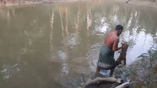 #Fishing # মাছ ধরা # পুকুর এ মাছ ধরা।