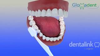 Dentalink tecnica cepillado de dientes con glomadent