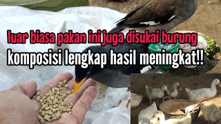 luar biasa pakan ini juga disukai burung komposisi lengkap hasil meningkat