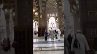 Al Masjid an Nabawi Inside View 🇸🇦 Al-Madinah al-Munawwarah #madinah #madina #masjidnabawi #মদিনা