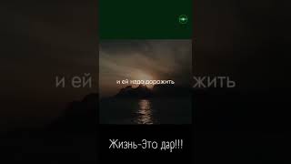 Жизнь - Это Дар | ЖИЗНЬ ЦЕННА