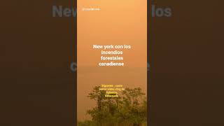 sígueme #videovlog de #valencia , este video es cortesía de canalunoVe #newyork #incendioforestal