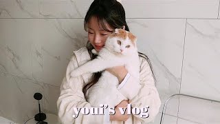 vlog🥑 대청소하고 초간단 가래떡으로 떡국만들기ㅣ찐 집순이 일상 브이로그ㅣ냉장고 정리ㅣ빵이 목욕ㅣliving alone asmrㅣ자취생 일상