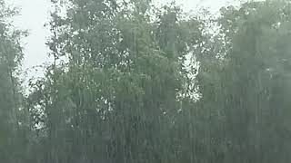 Monsoon Rain..