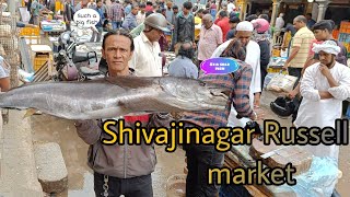 Russell Fish Market Bangalore 🐟🥺||itna bada machi |syedibrahimvlogs