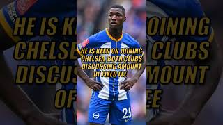 Chelsea in talks with Brighton for Caicedo signing #caicedo #brighton #chelsea #shorts