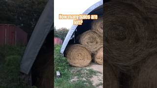 How to keep track of Hay Inventory? #farmcanada #hayseason #hay #haybales #farming