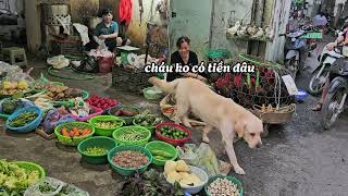 Màn đặt tên cho vợ khá cồng kềnh của Cà Rốt