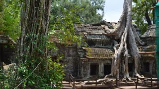 Cambodia, Angkor wat, Siem reap 2014, 🇰🇭