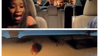 My Girlfriend Has Roaches In Her Car 😷🤣