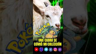 Mi CABRA me dejó en BANCARROTA #anime #Pokemon #TCG #Pikachu