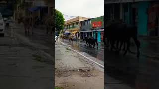 Bairro Jardim aeroporto em Campos dos goytacazes