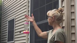 Pat feeds Hummingbird