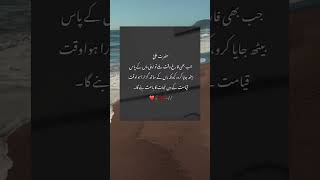 Hazrat Ali K Aqwal