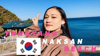 🇰🇷Naksan Beach Traveling vlog in South Korea(part-2)