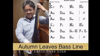 Autumn Leaves BASS LINE ( Key Gm  Latin → 4Beat) Play Along