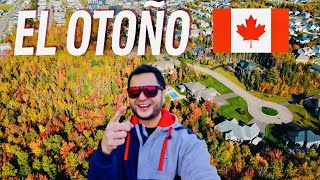 El OTOÑO en Moncton New Brunswick Canadá es distinto 🇨🇦