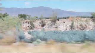 Tequila, Mexico - blue agave farms