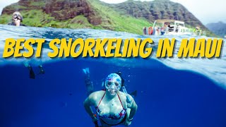 BEST Snorkeling in MAUI Hawaii !!!