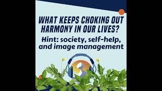 #8 What keeps choking out harmony in our lives?