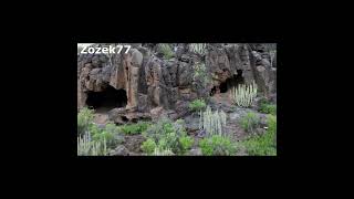 🌴🌵TENERIFE vidéki tájain. @zozek77 #shorts #tenerife  #plants