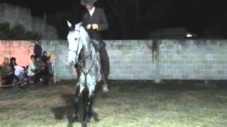 VisMoTV Posada El Hombre y el Caballo "Déu Cavalo"