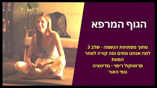 הגוף המרפא - חיסונים | מפתחות הנשמה - שלב 3