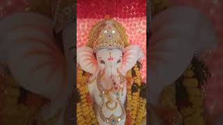 लाखों में एक है तू सबसे निराला|Ganpati Bappa 🌺 all new status video#shorts#bappa#ganesh#bappalover