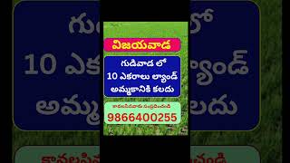 Land for Sale in Gudivada | Vijayawada | Amaravathi | 9866400255 |#shorts #viral #krishnadistrict