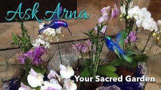 Sacred Garden - A Sacred and Safe Space for you