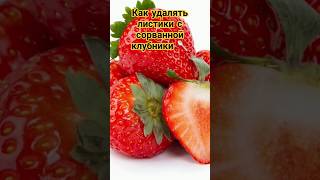 Лайфхак 🥄  Клубника 🍓#лайфхак #лайфхаки #клубника #ягоды #растения