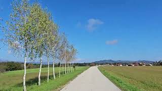 유럽 알프스산맥 자전거 횡단여행_슬로베니아 시골 라이딩(country Riding)