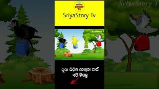 manu ku sir gadha kahile || odia gapa || tiki chadhei gapa || odia cartoon || odia moral story