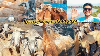 Retteri Goat Market 2024| Chennai | Detail Santhai-12.10.24| Saturday | #goat #sheep #chennai #india