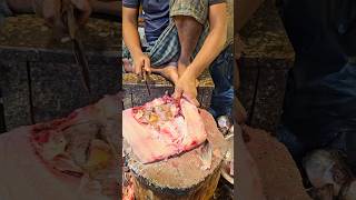 Amazing Rohu Fish Cutting Skills In Bangladesh Fish Market By Expert Cutter  #shorts