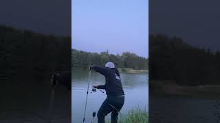 Mỏi cả tay mới đưa được lên bờ #fishing