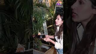 PASHMINA ROSHAN CELEBRATE HER  BIRTHDAY & CAKE CUTTING WITH MEDIA PAPS  SHORTS