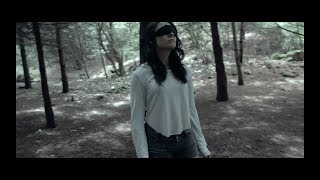 Liricart  -  Abre bien los ojos (Video oficial)